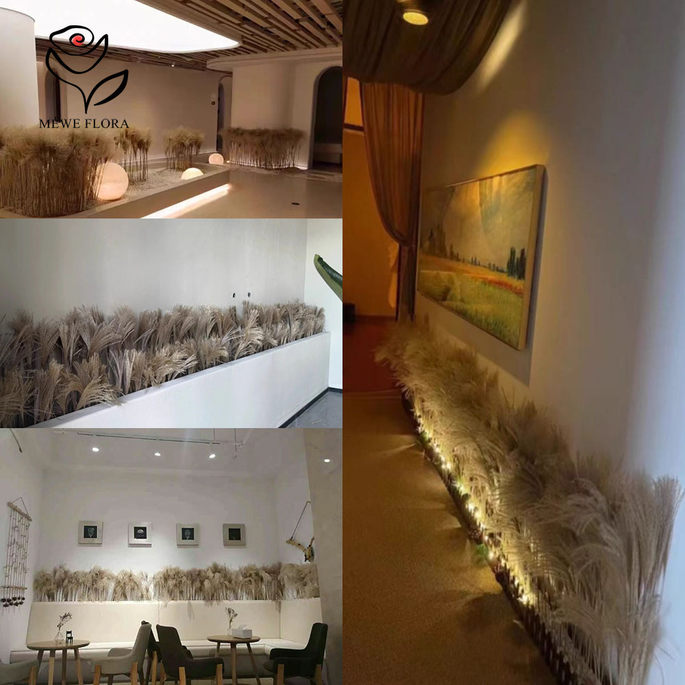 200 SZTUK Naturalnych Suszonyc – Quiet Luxury Lifestyle recenzja i cena