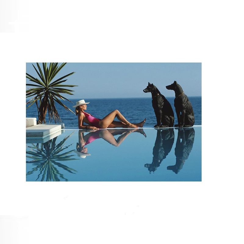 Retro Poolside Host Luxury Lif – Luxury Lifestyle Pictures recenzja i cena